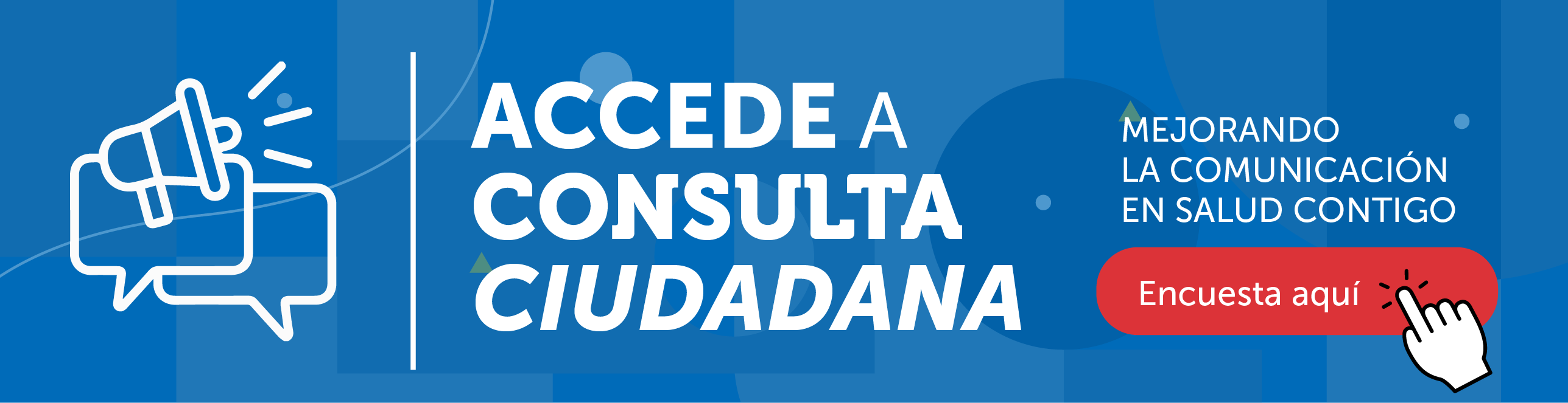 Consulta ciudadana