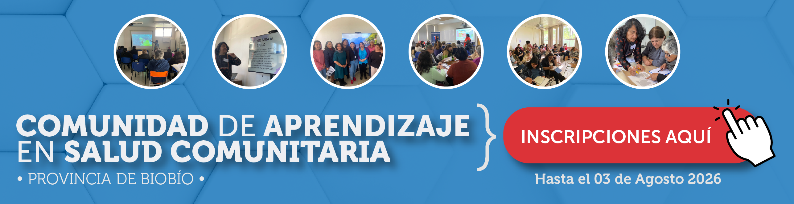 Consulta ciudadana