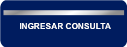 boton ingresar consulta